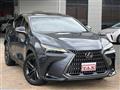 2022 Lexus NX