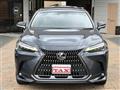 2022 Lexus NX