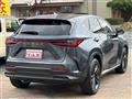 2022 Lexus NX