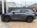 2022 Lexus NX
