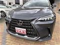 2022 Lexus NX