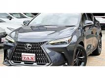 2022 Lexus NX