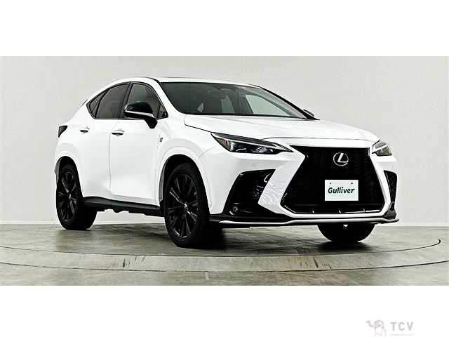 2022 Lexus NX