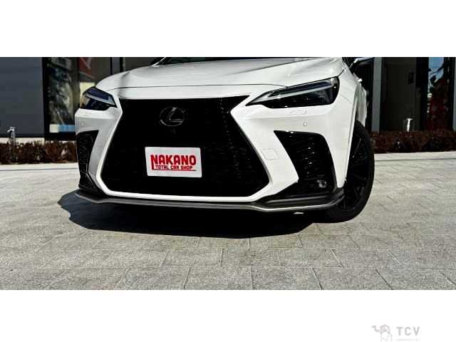 2022 Lexus NX
