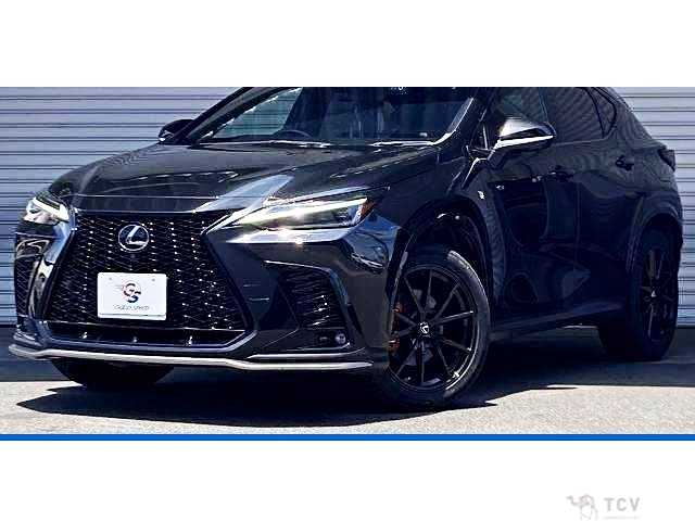 2022 Lexus NX