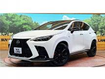 2022 Lexus NX