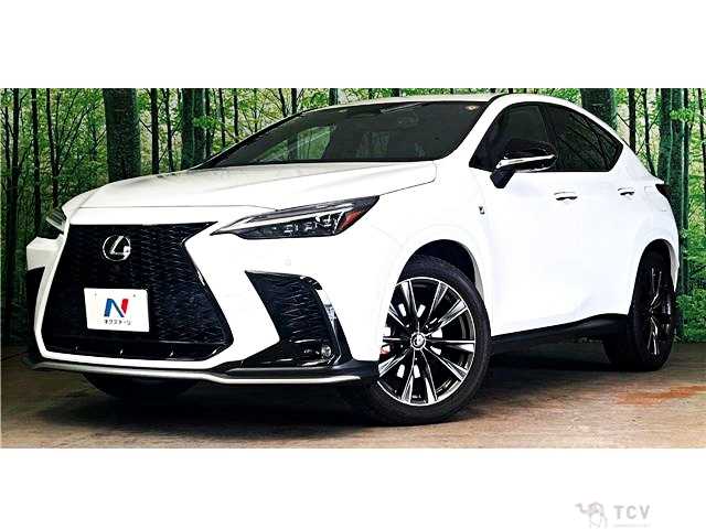 2022 Lexus NX