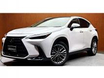 2022 Lexus NX