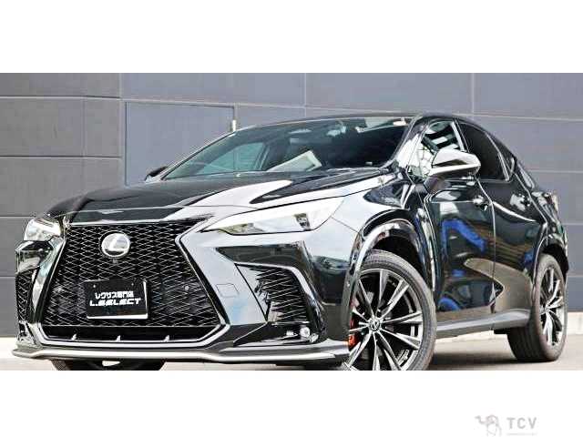 2022 Lexus NX