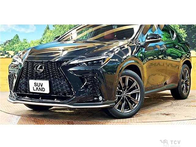 2022 Lexus NX