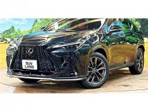 2022 Lexus NX