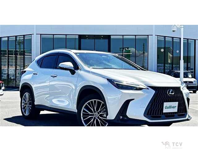 2022 Lexus NX
