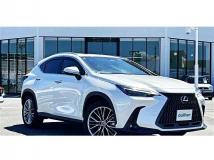 2022 Lexus NX