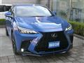 2022 Lexus NX