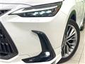 2022 Lexus NX