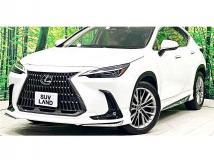 2022 Lexus NX