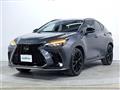 2022 Lexus NX
