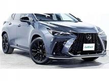 2022 Lexus NX