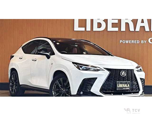 2022 Lexus NX