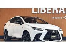 2022 Lexus NX