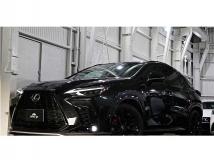 2022 Lexus NX