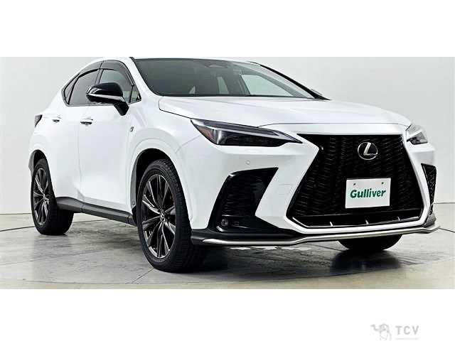 2022 Lexus NX