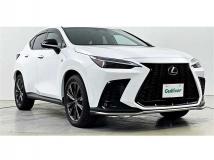 2022 Lexus NX