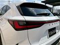 2022 Lexus NX