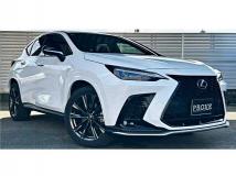 2022 Lexus NX