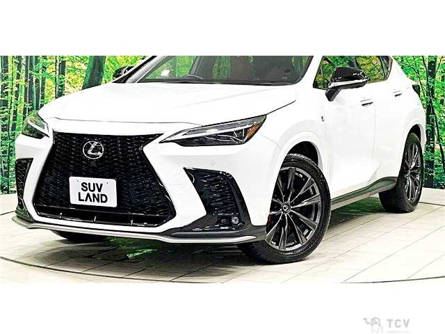 2022 Lexus NX