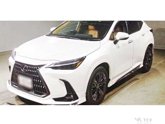 2022 Lexus NX