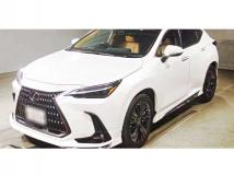 2022 Lexus NX