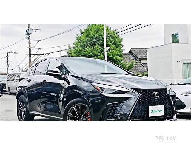 2022 Lexus NX