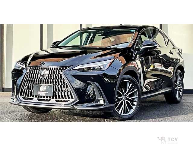 2022 Lexus NX