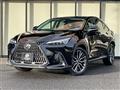 2022 Lexus NX