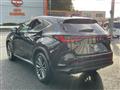 2022 Lexus NX