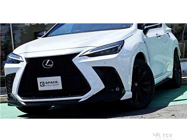 2022 Lexus NX