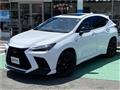 2022 Lexus NX