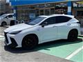 2022 Lexus NX
