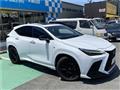 2022 Lexus NX