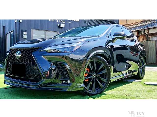 2022 Lexus NX