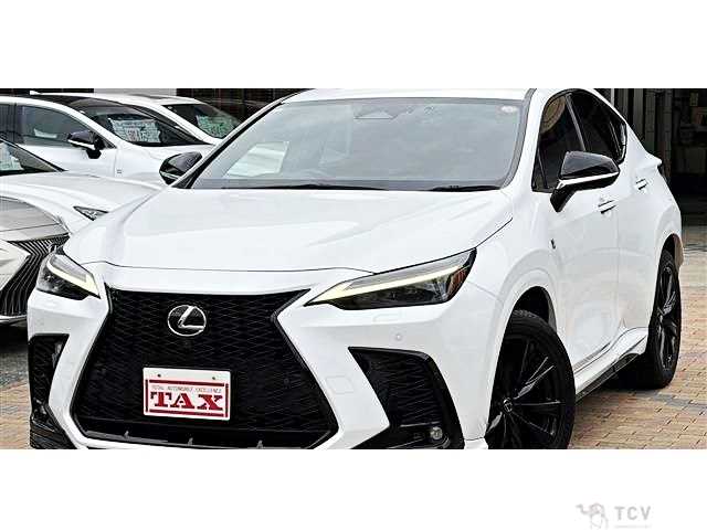 2022 Lexus NX