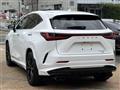 2022 Lexus NX