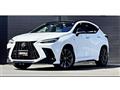 2022 Lexus NX