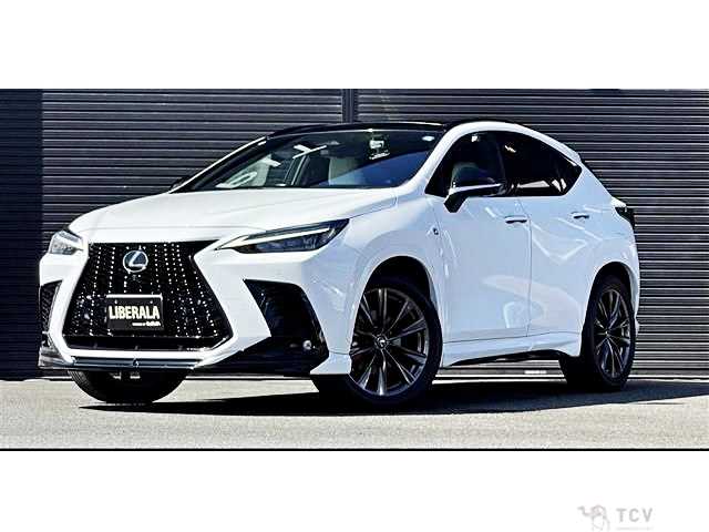 2022 Lexus NX
