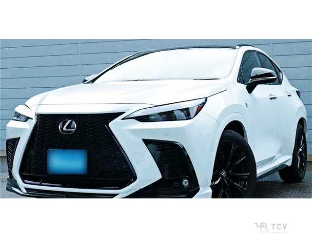 2022 Lexus NX