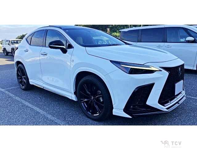 2022 Lexus NX
