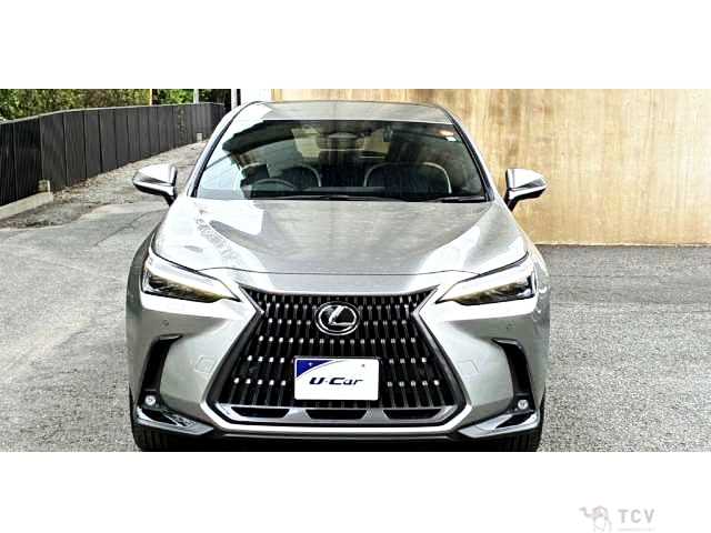 2023 Lexus NX