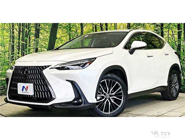 2023 Lexus NX
