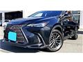 2023 Lexus NX